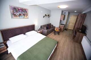 Отель Aparthotel Didveli Gallery Бакуриани-5